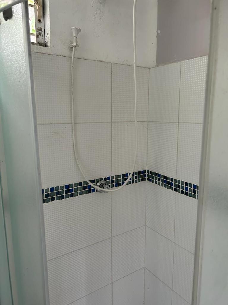 Zaboca Apartment Roseau Rum bild